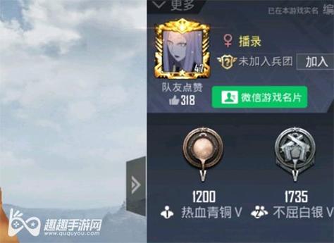 玩家社区对和平精英辅助软件的看法调查